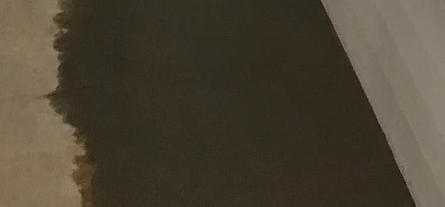 cove seepage in basement