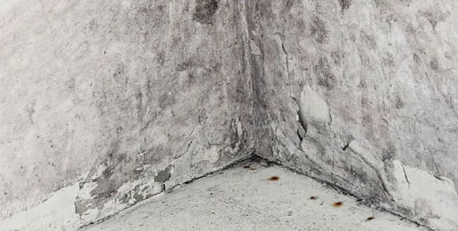 Connecticut dusty musty crawlspace