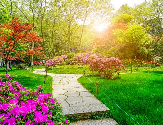 Connecticut outdoor living spaces services